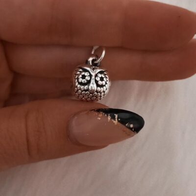 Dije de plata inflada Buho chico