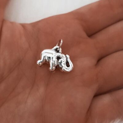 Dije de plata Elefante Inflado