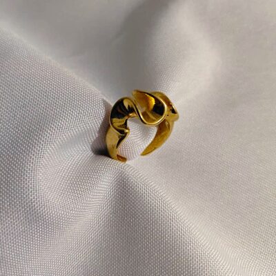 Anillo chu (T.17 y 18)