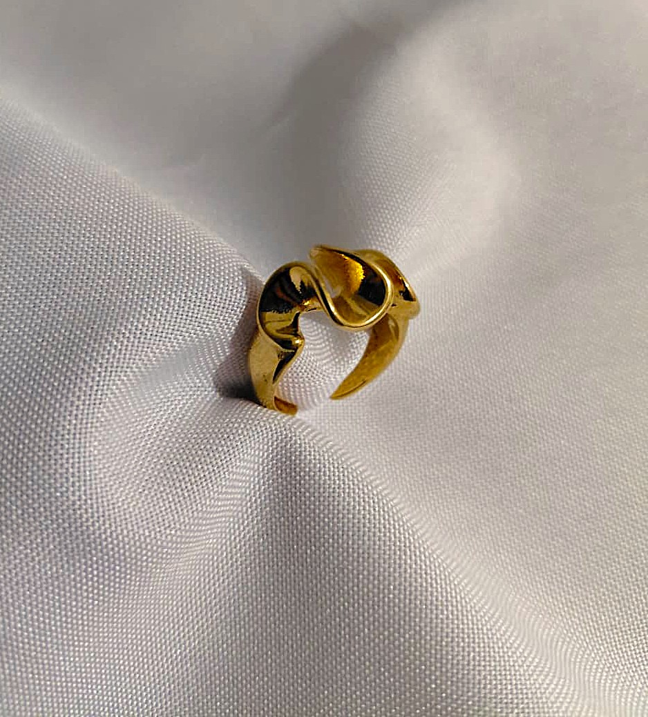 Anillo chu (T.17 y 18)