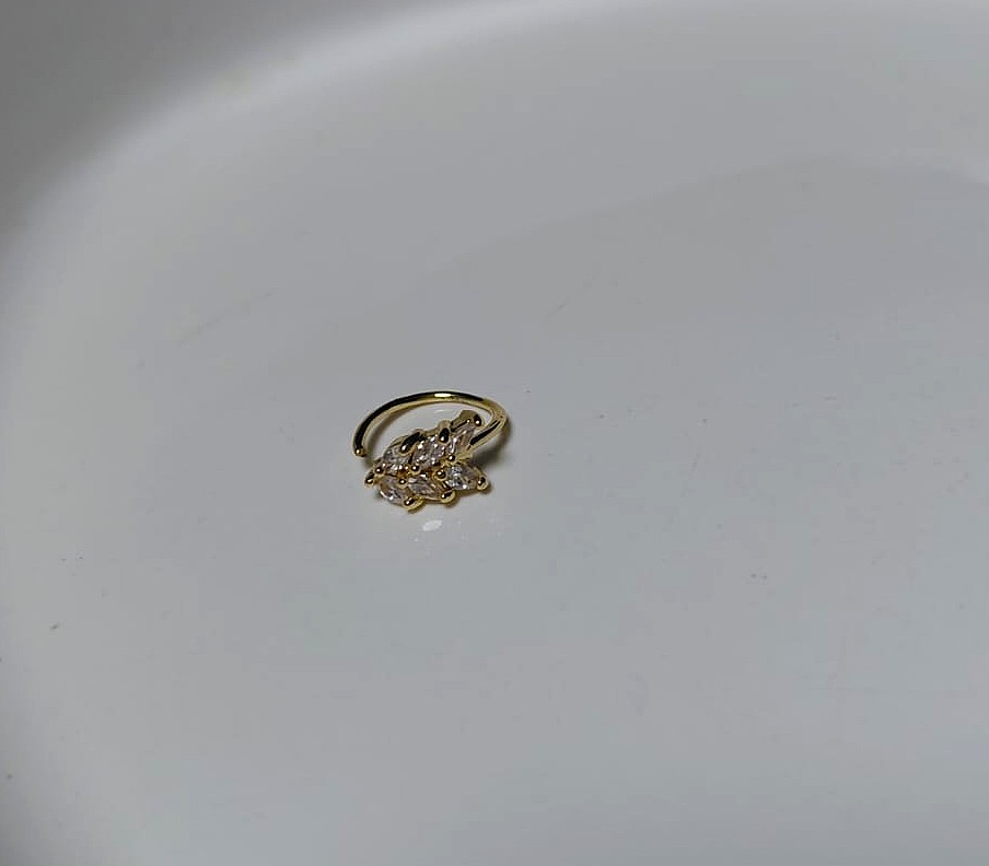 Aro tipo piercing hoja